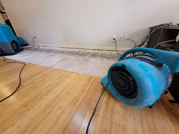 Professional Basement Flood Cleanup technician working in Eagle, MI
